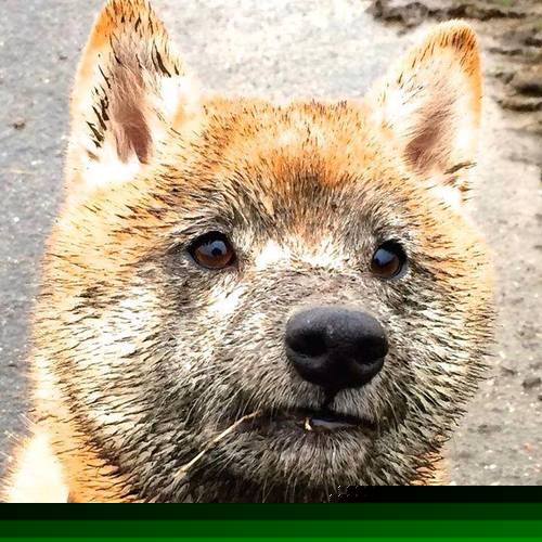 2016年总决赛第七场：勇士在最后几秒通过“水花兄弟”库里和汤普森的三分完成逆转，以赛季最精彩的逆转之一结束，勇夺总冠军。