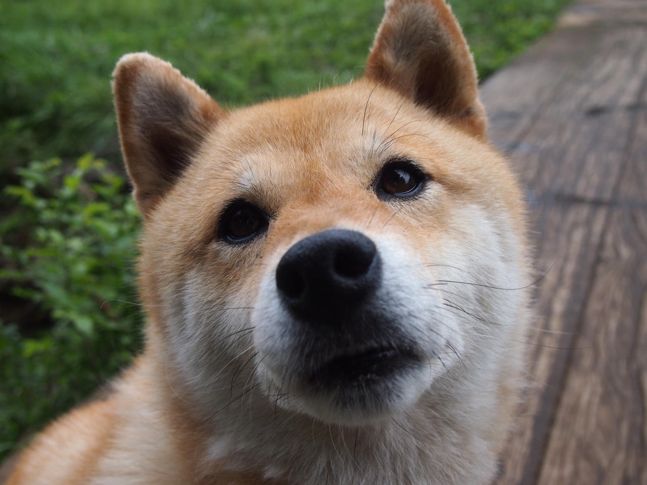 九游体育官方app-CS2 新赛季赛程合理安排，csgo2什么时候出