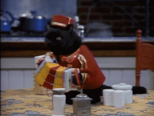 “足球培训课程多样化，适合不同年龄段参与者”，足球培训有哪些