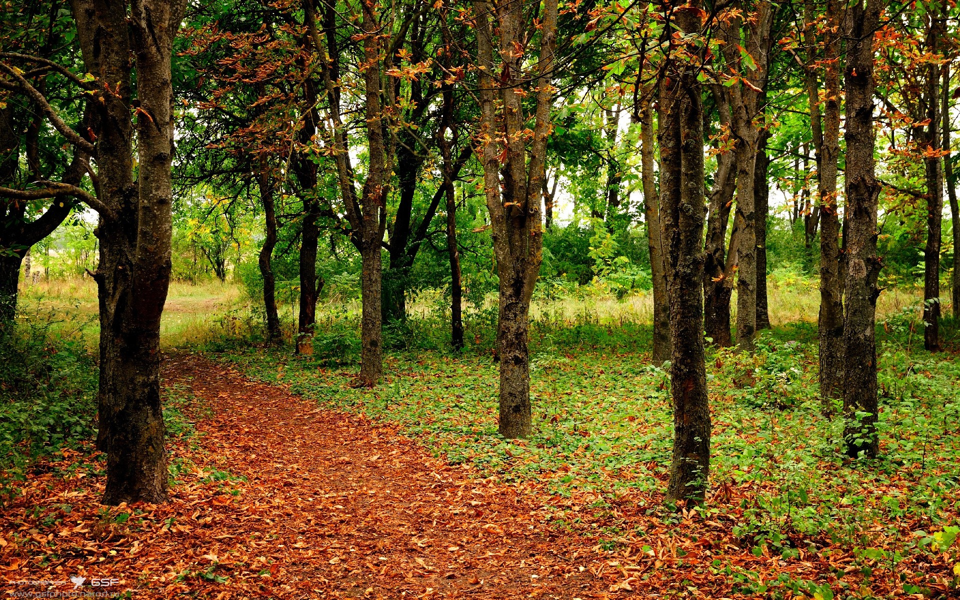 9体育-“青训教练员培训班全国范围推广，培养专业人才”，篮球青训教练培训