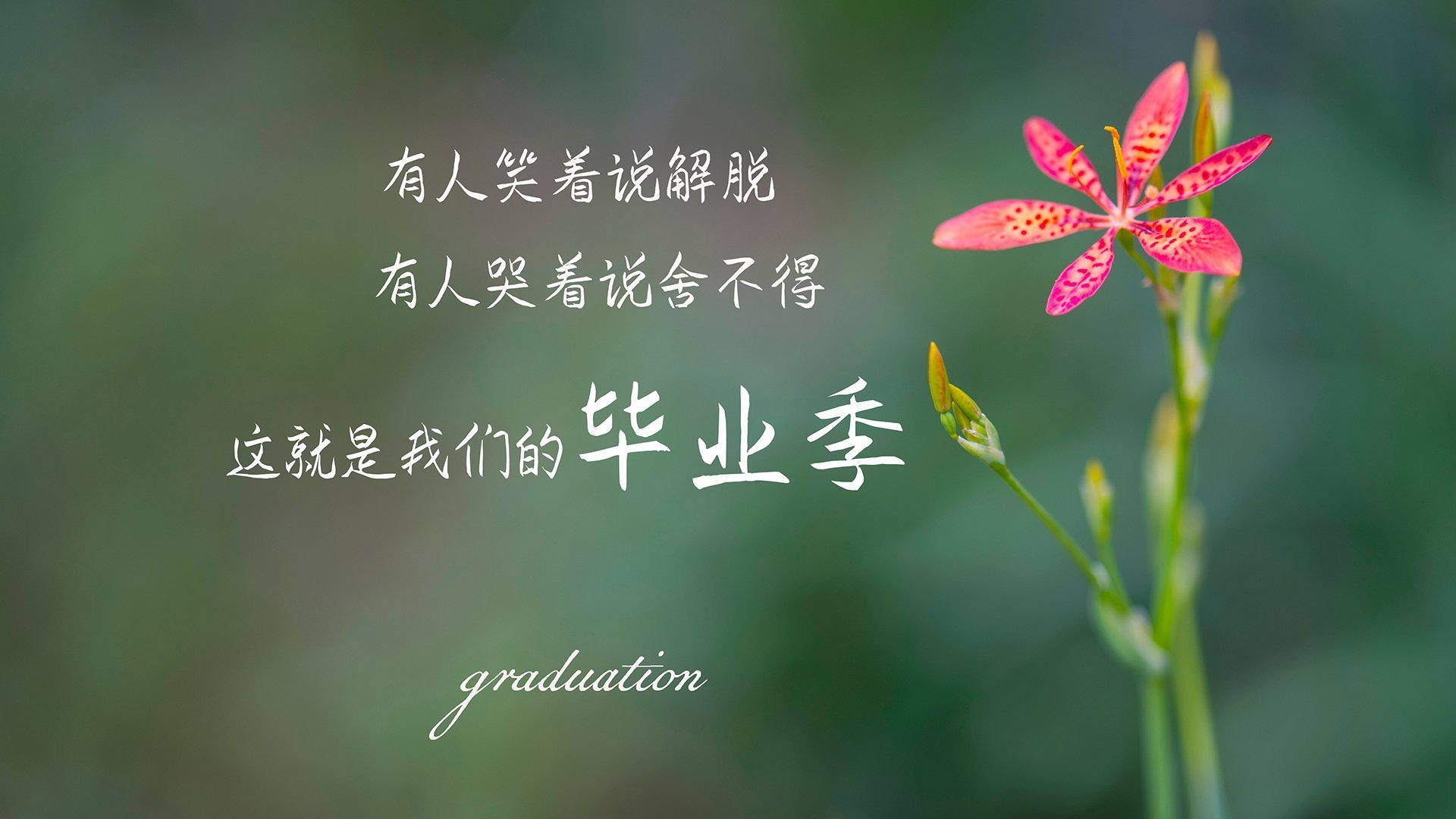 全国足球青训项目推动基层足球发展,中国足球青训改革