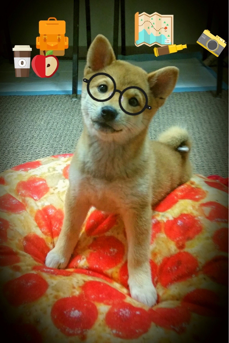 冬奥最潮队伍！墨西哥全员“墨镜+球鞋”登场，墨西哥参加东京奥运会吗