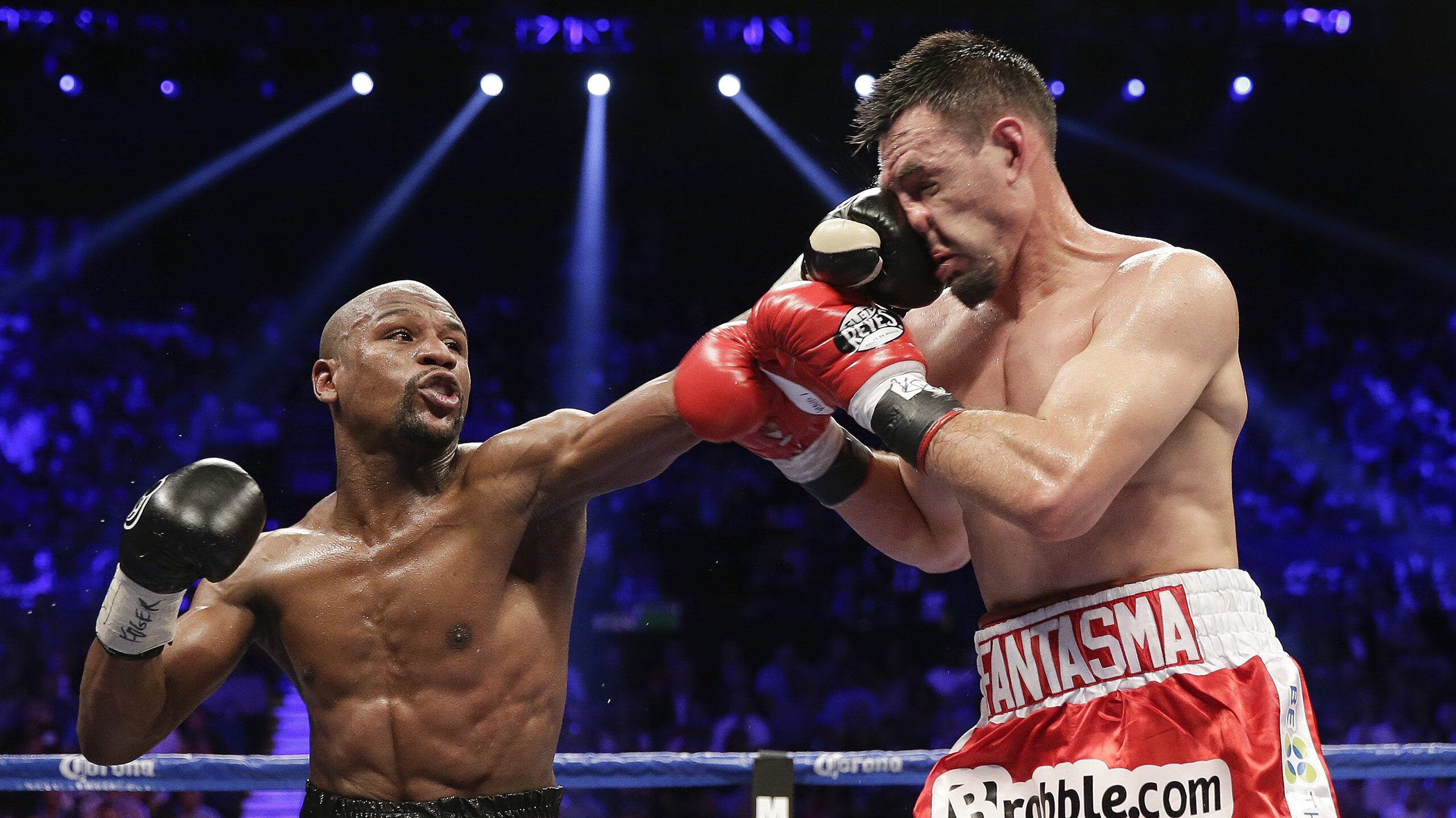 南非橄榄球赛事票房创历史新高，市场吸引力增强，南非橄榄球世界杯冠军真实的故事 电影